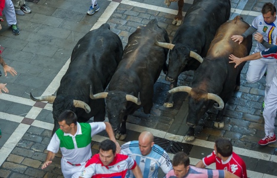 Cuatro de los astados, al frente de la manada. (Jagoba MANTEROLA/ARGAZKI PRESS)