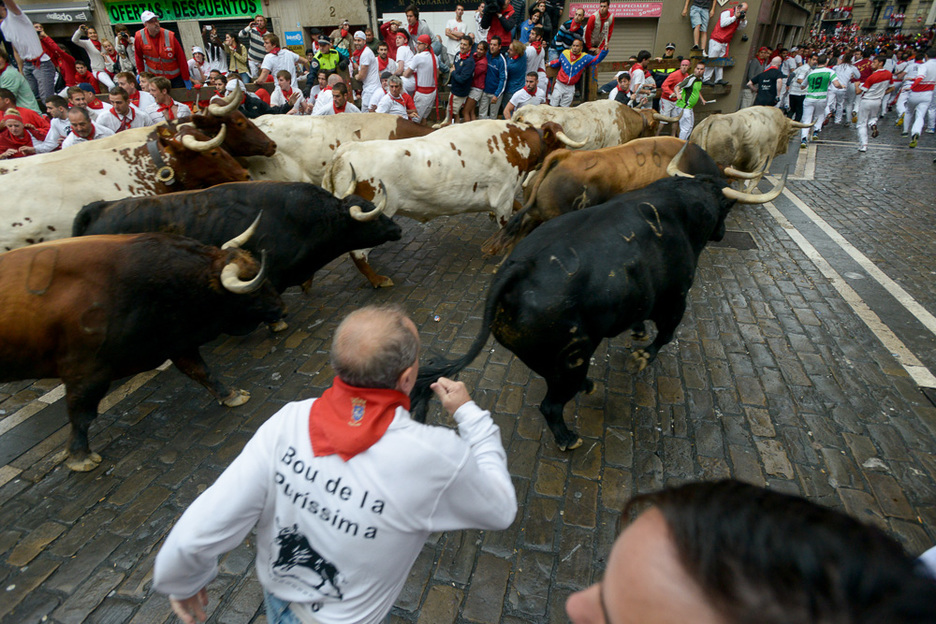 Los toros de la ganadería Fuente Imbro han protagonizado la carrera. (Iñigo URIZ / ARGAZKI PRESS) Los toros de la ganadería Fuente Imbro han protagonizado la carrera. (Iñigo URIZ / ARGAZKI PRESS)
