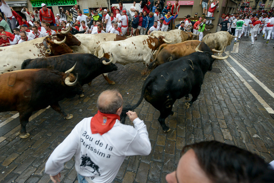 Los toros de la ganadería Fuente Imbro han protagonizado la carrera. (Iñigo URIZ / ARGAZKI PRESS)