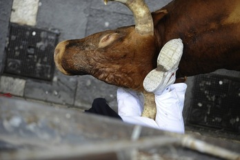 ‘Olivito’ cornea a uno de los corredores. (Ander GILLENEA/AFP)