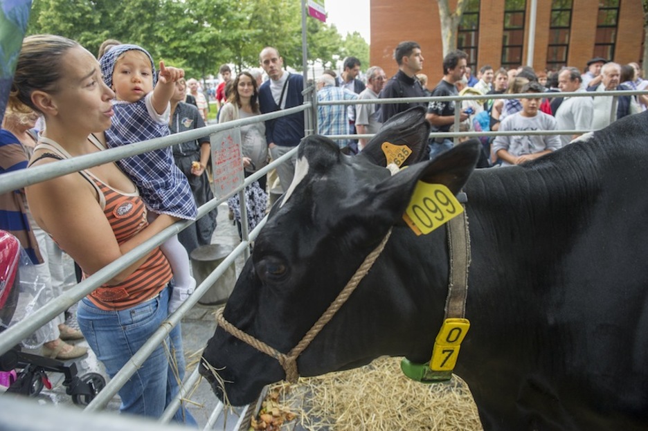 Esta pequeña neska ha disfrutado viendo a los animales. (Juanan RUIZ / ARGAZKI PRESS)