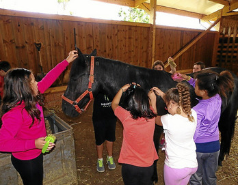 gara-2014-08-31-Noticia