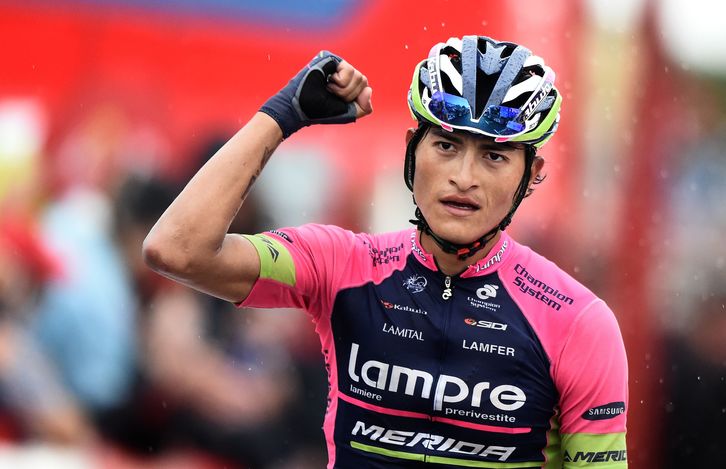 Anacosa helmugan. (Jose JORDAN / AFP)