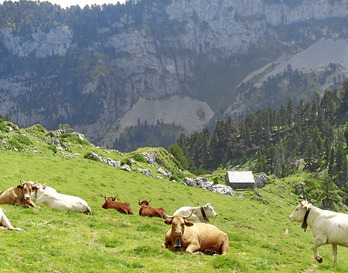 gara-2014-10-06-Noticia