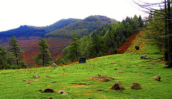 gara-2014-11-16-Noticia