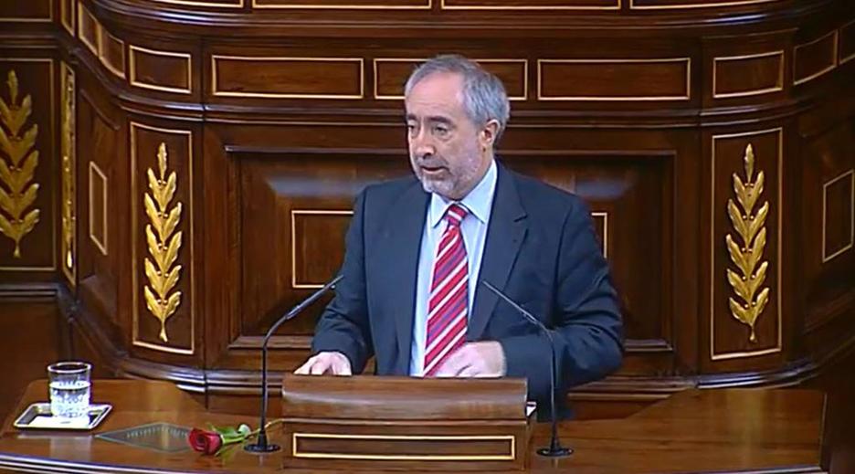 El diputado de Amaiur, Rafa Larreina, ha realizado su dicurso rosa en mano, en recuerdo a Josu Muguruza (AMAIUR) El diputado de Amaiur, Rafa Larreina, ha realizado su dicurso rosa en mano, en recuerdo a Josu Muguruza (AMAIUR)