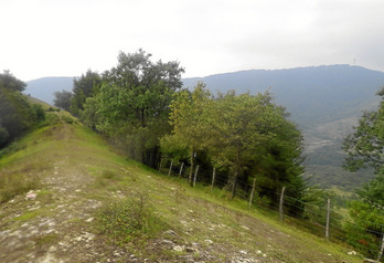 gara-2014-11-24-Noticia