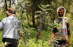 gara-2014-11-29-Noticia