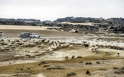 gara-2014-12-05-Noticia