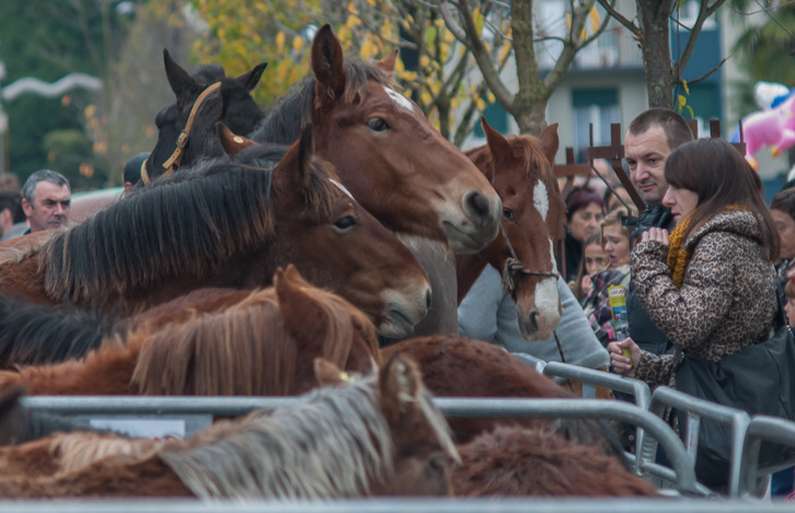 La feria ha acogido a numerosos visitantes. (Andoni CANELLADA / ARGAZKI PRESS)