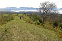 gara-2014-12-29-Noticia