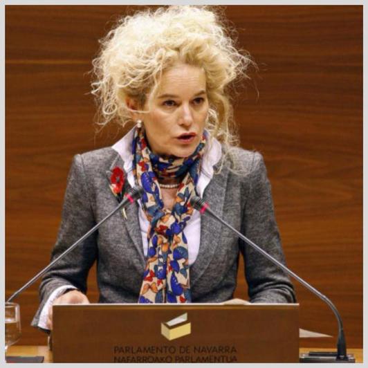 Arraiza en el Parlamento navarro. (via twitter @psn)