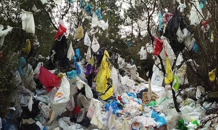 El bosque invadido por los plásticos en las cercanías del vertedero de Artigas. (@berria)