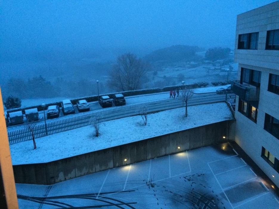 Erandio Goikoan hartutako irudia. (NAIZ)