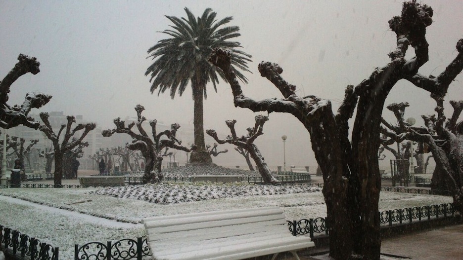 Donostiako Alderdi Eder, zurituta. (@LeireLarretxea)