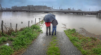 gara-2015-02-26-Noticia