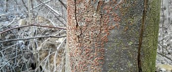 gara-2015-03-10-Noticia