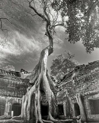 gara-2015-03-11-Noticia