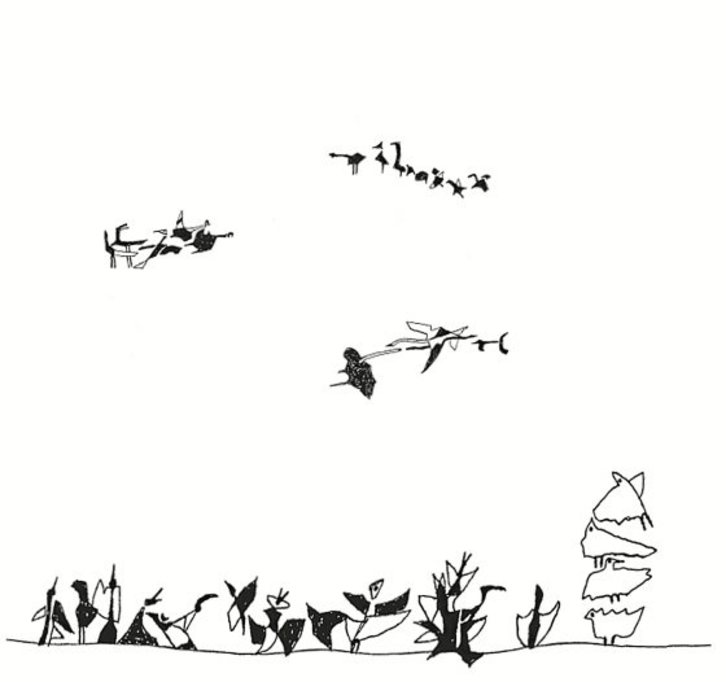 Txoriak dira liburuen ardatza