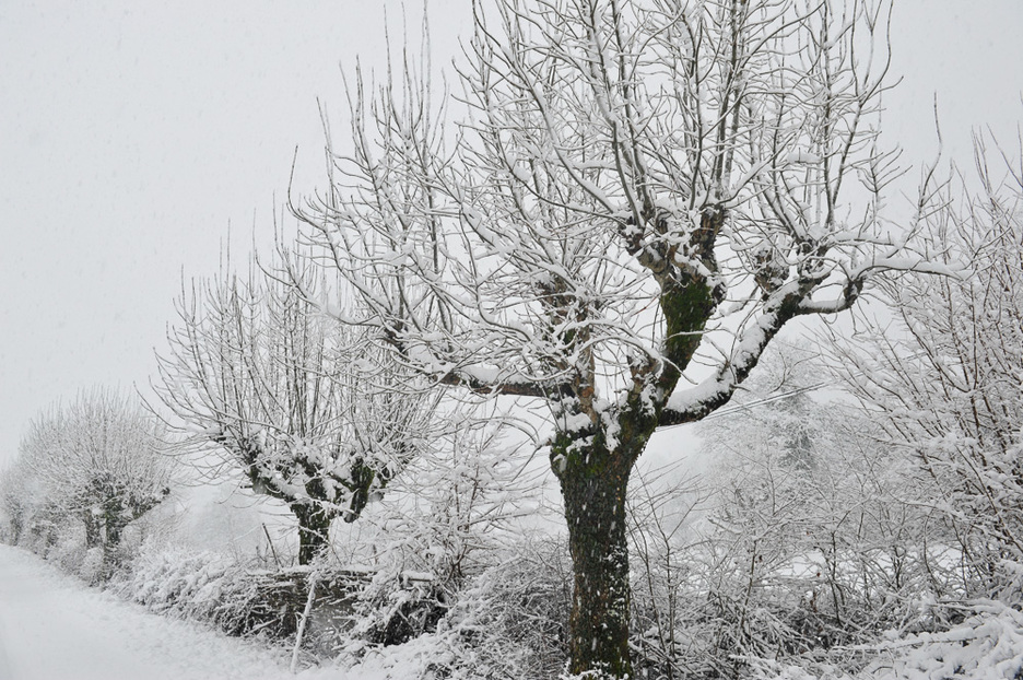 Zuri erabat Astitzeko Mendukillo Kobazuloen inguruan.