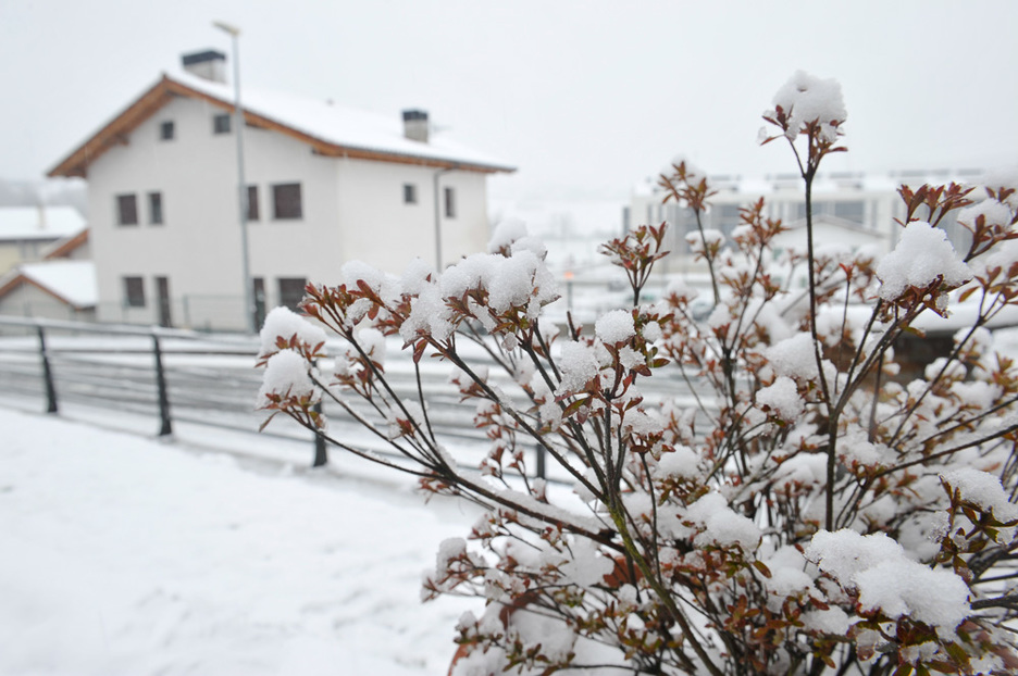 Lekunberriko Plazaolako trenbide zaharra.