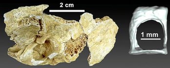 gara-2015-03-25-Noticia