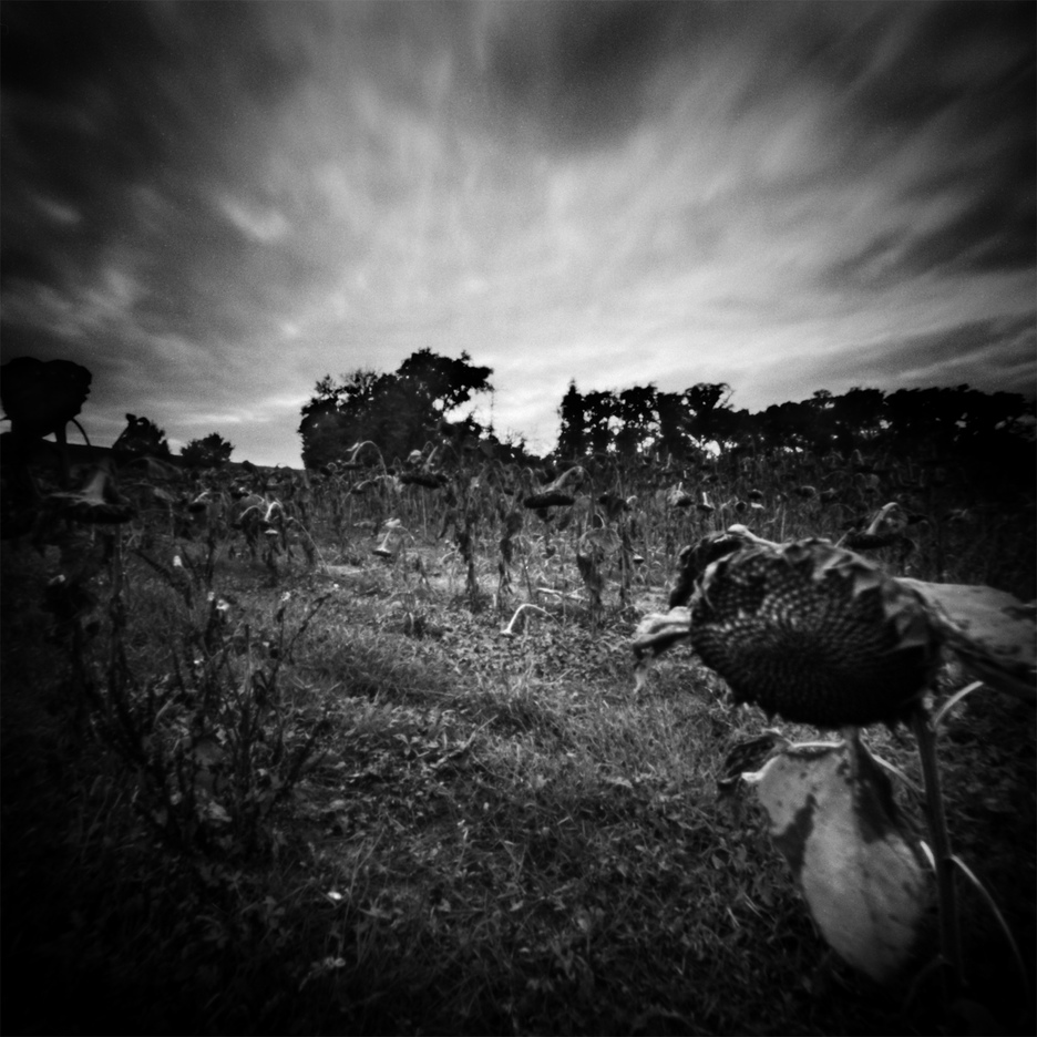 © Abel Bourgeois © Abel Bourgeois