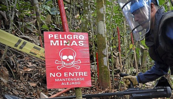 Trabajo de desminado en Colombia. (Raúl ARBOLEDA / AFP)