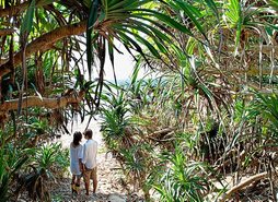 gara-2015-04-09-Noticia