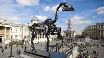 gara-2015-04-16-Noticia