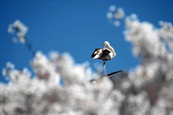 gara-2015-04-16-Noticia