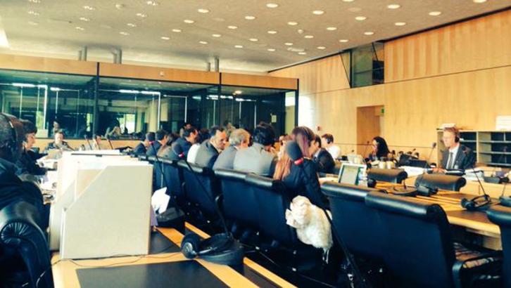 Imagen del examen del Comité contra la Tortura de la ONU al Estado español, la pasada semana en Ginebra. (@cecile_pilot)