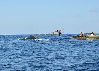 gara-2015-05-12-Reportaje