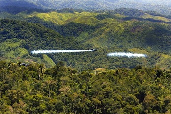 El glifosato ha sido utilizado durante 30 años para fumigar cultivos ilícitos en Colombia. (Jack GUEZ/AFP PHOTO)