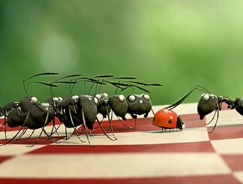 gara-2015-05-17-Noticia