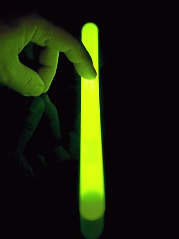 gara-2015-05-19-Noticia