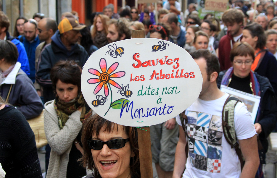 Plus de 100 personnes ont défilé à Bayonne, sous les slogans "Monsanto, assassins!", "Pesticides, génocide!" © Bob EDME