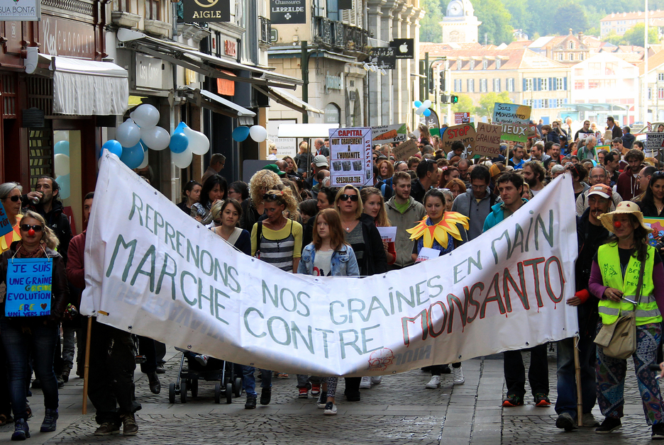 Plus de 100 personnes ont défilé à Bayonne, sous les slogans "Monsanto, assassins!", "Pesticides, génocide!" © Bob EDME
