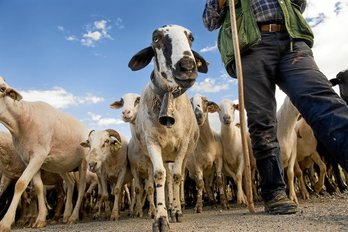 gara-2015-05-26-Reportaje