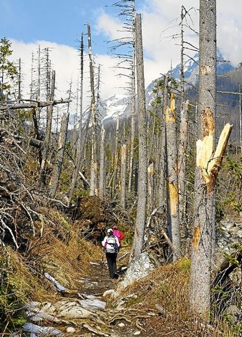 gara-2015-05-28-Reportaje