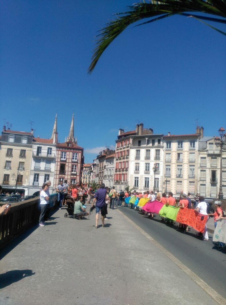 Oihal katea martxan. (@mediabask)