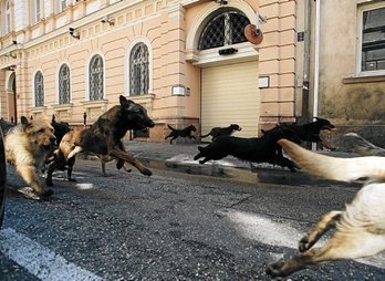 gara-2015-06-24-Noticia