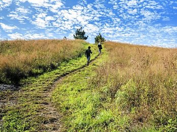 gara-2015-08-04-Noticia