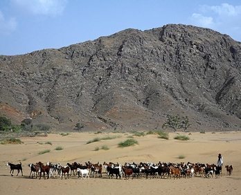 gara-2015-08-09-Reportaje