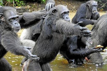 gara-2015-08-11-Reportaje