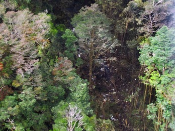Hegazkinak istripua izan duen tokiaren irudia, Indonesiako Papua irlan. (BASARNAS/AFP)