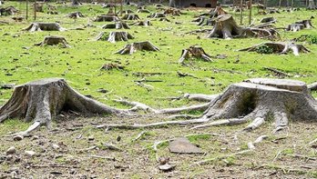 gara-2015-08-20-Noticia