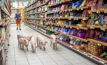 gara-2015-08-21-Opinión