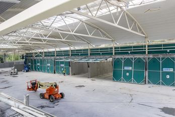 Planta de Epele. (GHK)