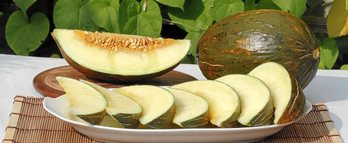 gara-2015-08-25-Noticia